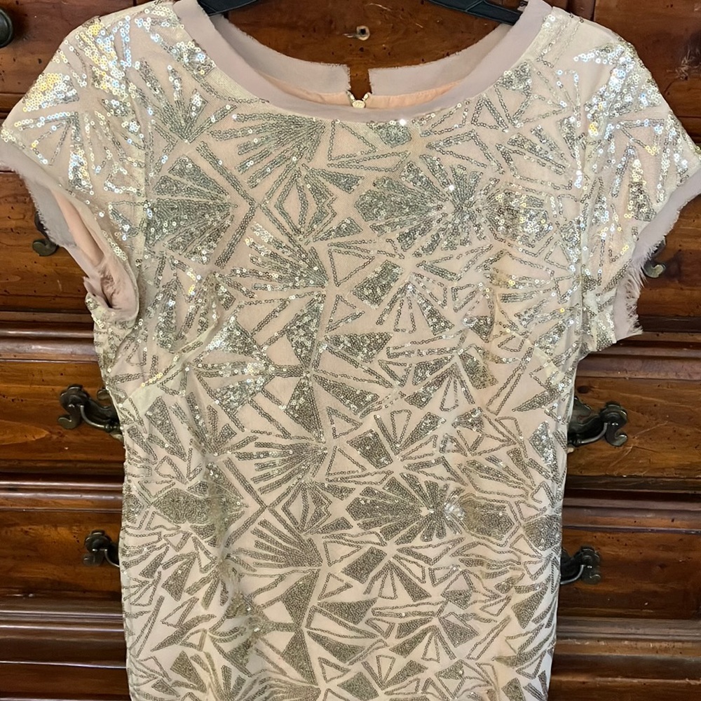 WORN ONCE Vince Camuto Champagne Dress with Silver Sequins and Zippered Back